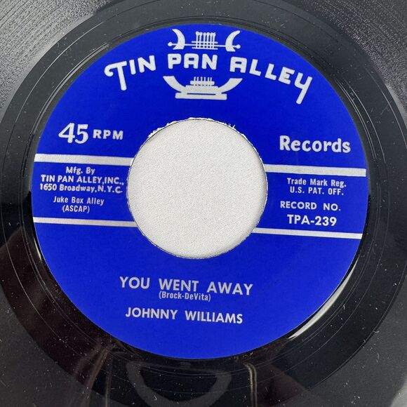 Johnny Williams Tin Pan Alley Rare 1959 Pop 45 Vinyl Near Mint NM I’ve Got A Hot - Picture 4 of 6